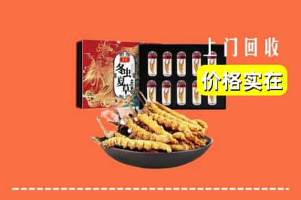 咸阳市乾县回收冬虫夏草