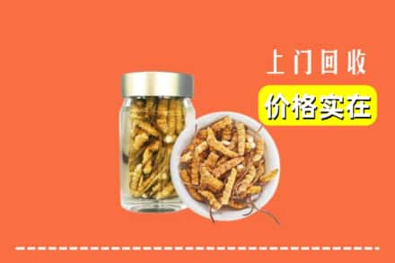 收购资讯:咸阳市乾县回收散虫草